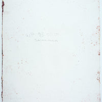 Douglas Haynes "Salamanca," 1995, mixed media on paper