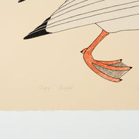 Kananginak Pootoogook "Angry Seagull," 1983, colour lithograph, edition 27/50