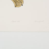 Kananginak Pootoogook "Swimming Duck," 1985, colour lithograph, edition 15/50