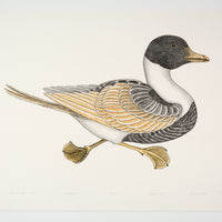 Kananginak Pootoogook "Swimming Duck," 1985, colour lithograph, edition 15/50