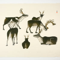 Kananginak Pootoogook "Resting Caribou," 1987, stonecut, edition 34/50