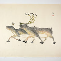 Kananginak Pootoogook "Tuktu of Tasikjuk," 1973, stonecut, edition 47/50