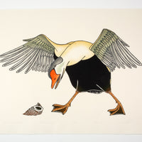 Kananginak Pootoogook "Snail Shell and Eider Duck," 1988, stonecut & stencil, edition 27/50