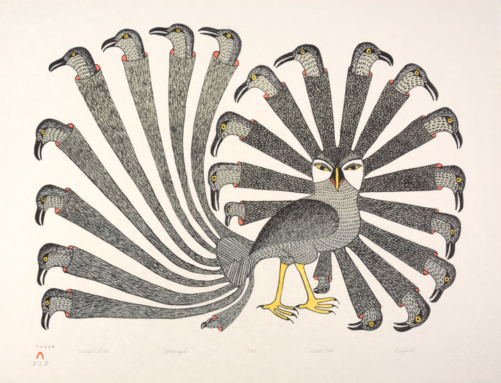 Kenojuak Ashevak