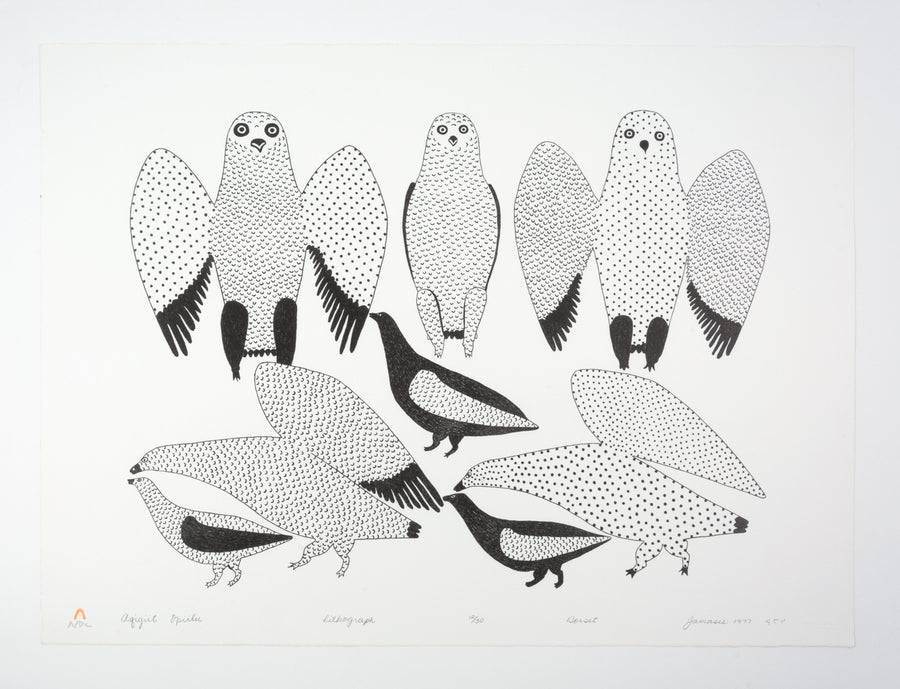 Jamasie Teevee "Aqigiit Opiilu," 1977, lithograph, edition 12/50