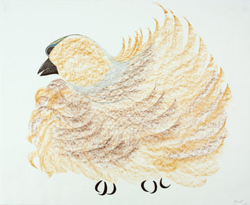 Pitaloosie Saila  "Untitled" c. 1975, coloured pencil & ink on paper