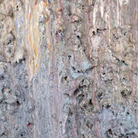 Larry Poons, "Untitled" 1983, mixed-media on canvas