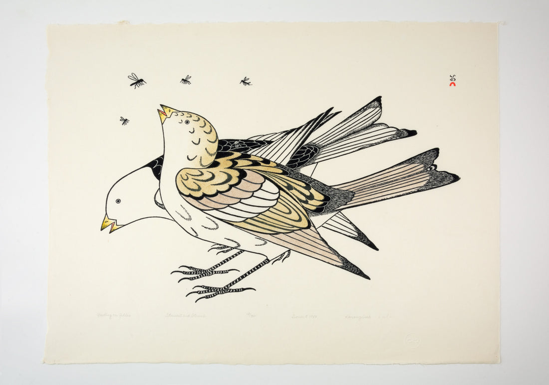 Kananginak Pootoogook "Feeding on Flies," 1981, stonecut & stencil, edition 13/50