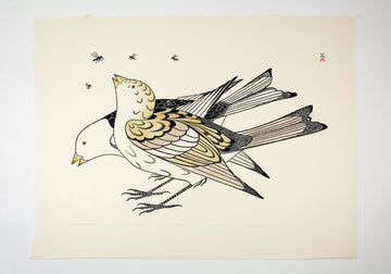 Kananginak Pootoogook "Feeding on Flies," 1981, stonecut & stencil, edition 13/50