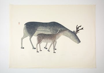 Kananginak Pootoogook "Noakaliq," 1982, stonecut & stencil, edition 47/50