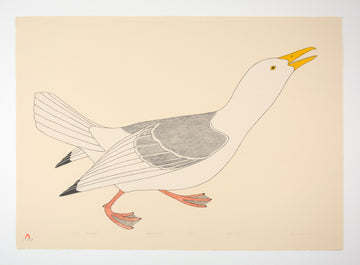 Kananginak Pootoogook "Angry Seagull," 1983, colour lithograph, edition 27/50