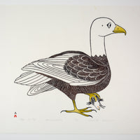 Kananginak Pootoogook "Eagle with Prey," 1983, stonecut & stencil, edition 45/50