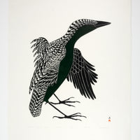 Kananginak Pootoogook "Tulugaak Preening Feathers," 1984, stonecut, edition 42/50