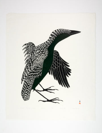 Kananginak Pootoogook "Tulugaak Preening Feathers," 1984, stonecut, edition 42/50