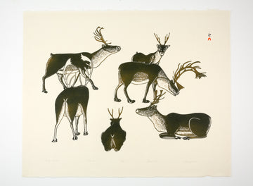 Kananginak Pootoogook "Resting Caribou," 1987, stonecut, edition 34/50