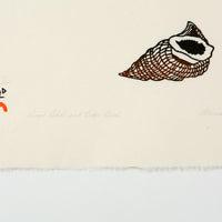 Kananginak Pootoogook "Snail Shell and Eider Duck," 1988, stonecut & stencil, edition 27/50