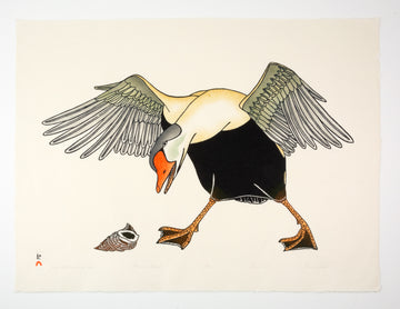 Kananginak Pootoogook "Snail Shell and Eider Duck," 1988, stonecut & stencil, edition 27/50