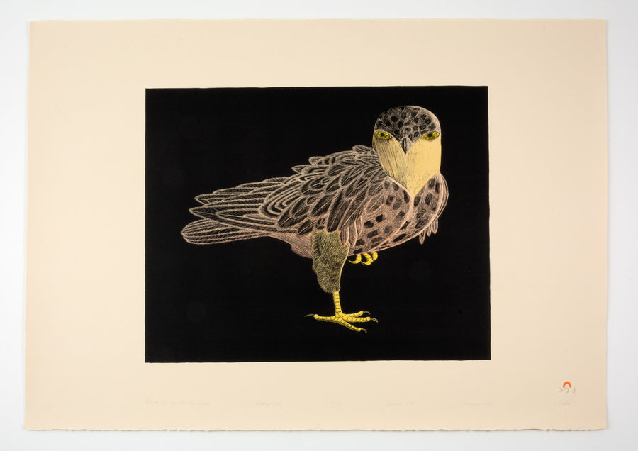 Kananginak Pootoogook "Hawk in Winter Darkness," 1988, lithograph, edition 27/70