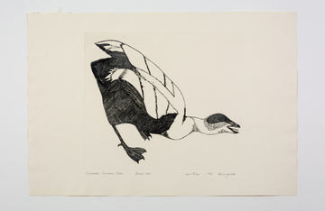 Kananginak Pootoogook "Amaulik Common Eider," 1965, engraving, edition 12/50